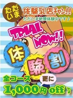 ちろる@神推かわ19悶М絶頂天使（ぽちゃカワ革命!!いちゃぷよ★ポッチャdoll[高崎・前橋店]）